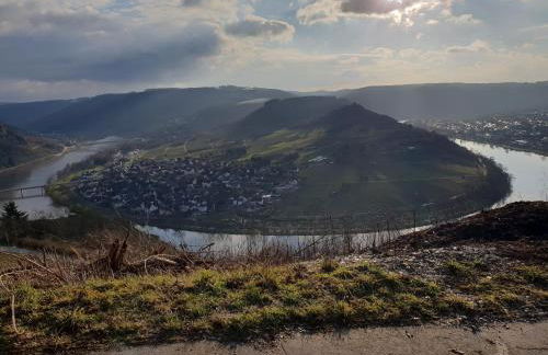 Gästehaus Steuer - Foto 54