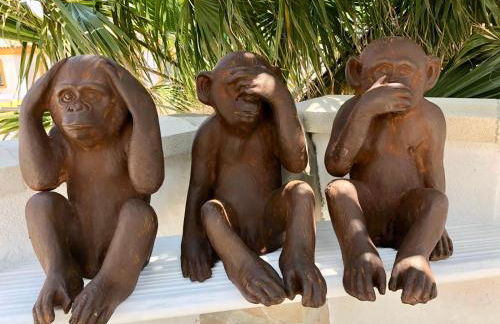 Casa Olina - Photo 31