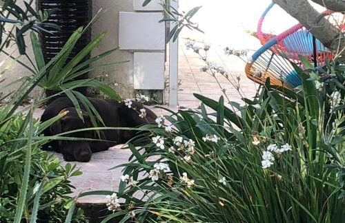 Les Fleurs De Lys, Villa Chic L'enclos Des Lys, Proche de la Mer - Foto 10