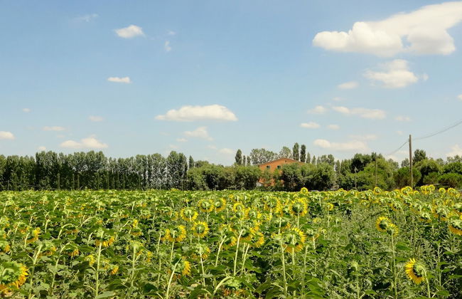 Agriturismo Pinzale - Foto 38