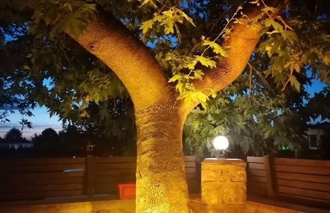 Vital Home - Foto 19