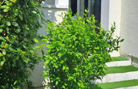 maison individuelle Saint Georges - Foto 7