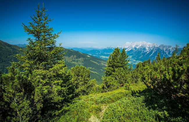 Ferienhaus Schmiedgut - Foto 17