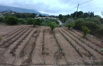 Caravana- Glamping Casa tortuga - Foto 76