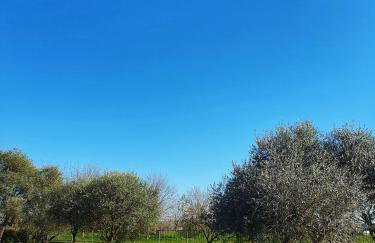 Il Camino Rosso - Photo 25