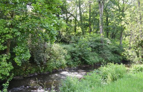 Burrills View - Foto 19