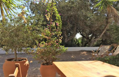 Apartamentos Laura Playa de Migjorn - Foto 24