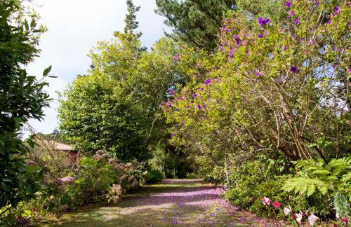 Quinta de Santo António da Serra - Foto 25