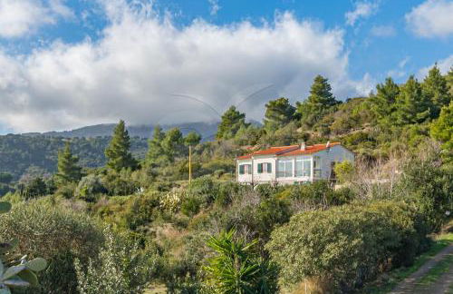 Villa la Collina Charme e Natura - Goelba - Foto 1