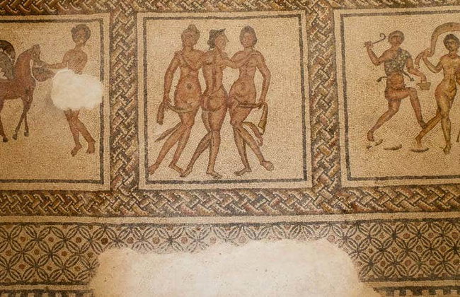 Tour por la Villa romana de Fuente Álamo - Foto 1