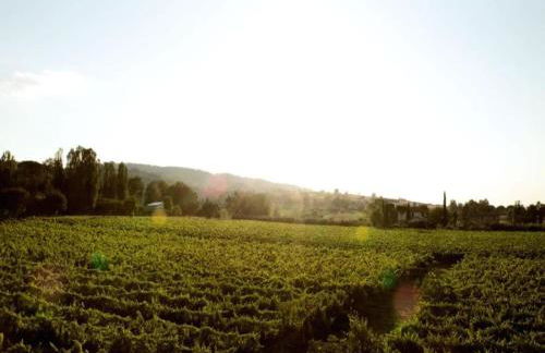 Villa in Cannara With Pool Near Assisi - Foto 12