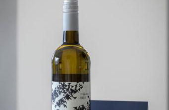 Capri 313 the Heart of Downtown Traverse City - Foto 29