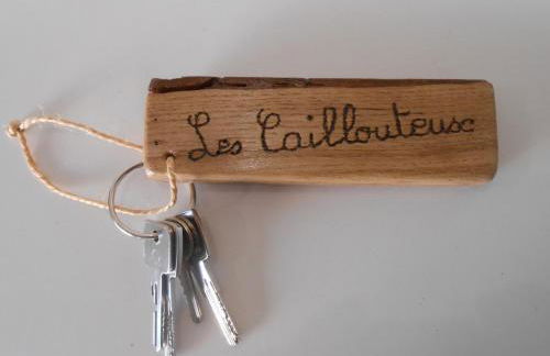 Gîte de charme proche du ZooParc de Beauval - 2 terrasses, jardin, cheminée, clim, parking gratuit - FR-1-491-408 - Foto 6