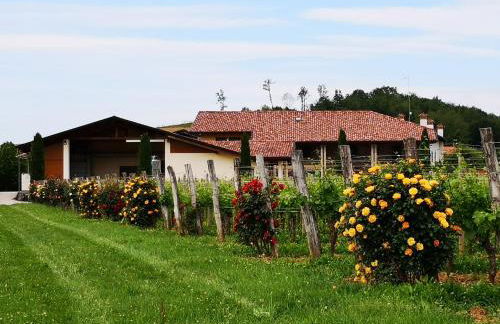 Pizzulin - Wine & Living - Foto 7