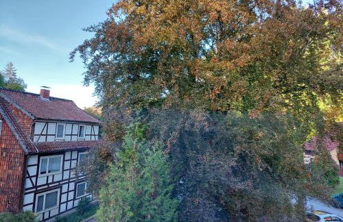 Gemütliche Ferienwohnung im Harz - Foto 2