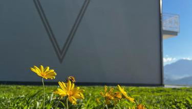 La Valle B&B - Foto 4, Garden, Garden view