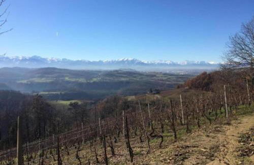 Mansion in Langhe With Pool and Winery Charm - Foto 44