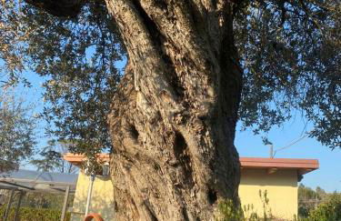 Residenza Nosy Be - Foto 76