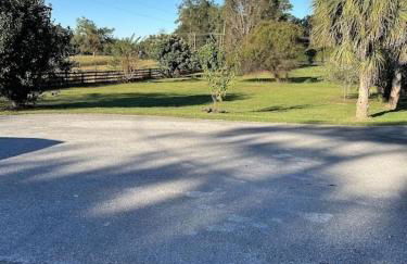 A Pearl Hidden Between Farms - Foto 32