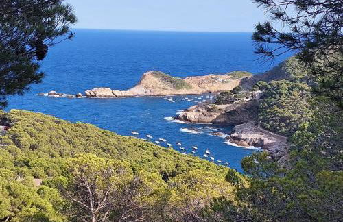 Begur Sa Riera, appartement de charme, jardin, pour 4 personnes à 5mn de la plage - Foto 30
