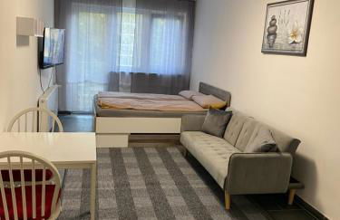 Ganze Apartment in Saarbrücken City - Foto 26