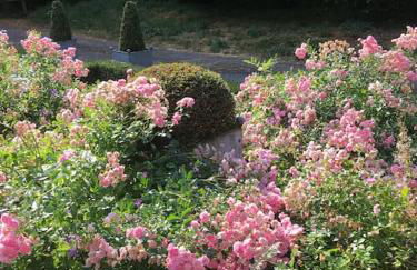 Highfield Lodge - Photo 30