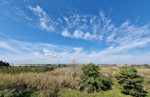 Apartamento Praia Altura - Foto 17