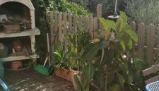 Villa M. Rosso - Foto 2, Garden view