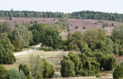 Ferienhaus Wahlers - Foto 30