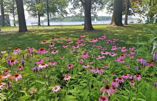 Waterfront Retreat Center - Foto 58