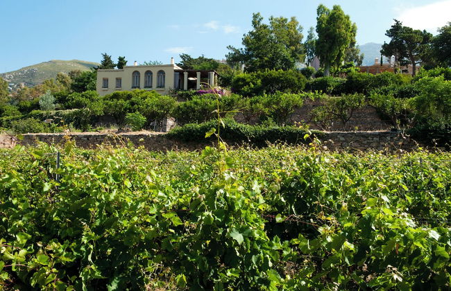 Montofoli Wine Estate - Foto 46