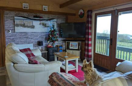 Enlli Fach cabin sleep's 2 adults and 2 children 2 dogs welcome not suitable for contract workers due to parking height restrictions - Photo 54