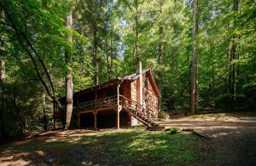 Buzzard Roost cabin at Cabin Fever in NC - Foto 25