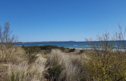Ferienwohnung Urte in Putgarten , Kap Arkona Rügen - Foto 34
