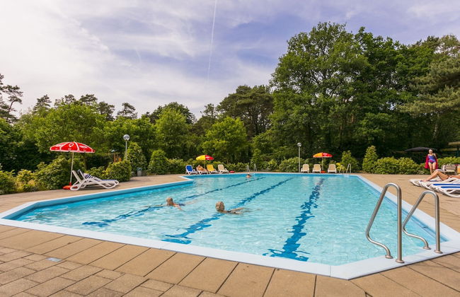 Wellness Forest Retreat - Photo 14