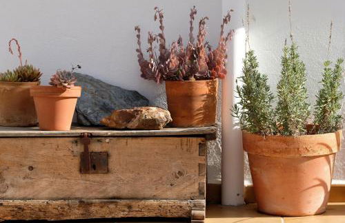 La Posidonia - Foto 14