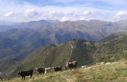 Casa Queto - Foto 28