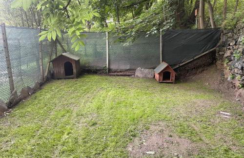 Le Flocon de neige - Foto 35