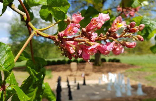 Gästehaus am Kattensteert - Foto 32