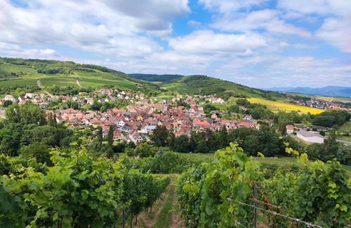 Petit Paradis Croneuva - Photo 13