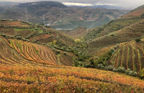 Quinta do Barrocal - Casa de Campo - Foto 4