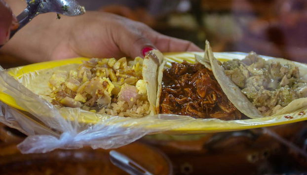 Dégustez d'authentiques tacos