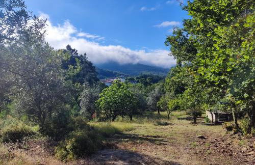 Casa da Latada - Foto 46