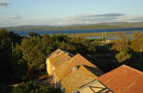 Domaine du Petit Tournebelle - Foto 74