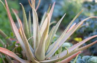 Resonance Experience - Villa Escape Surrounded by Nature & Ancient Sites - Photo 64