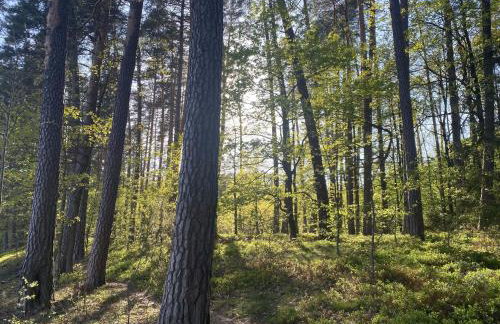 Dom Przy Lesie Zielonowo - Foto 26