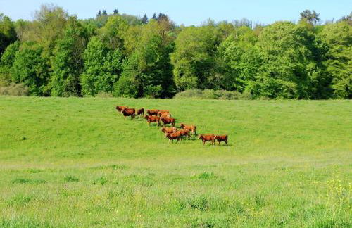 Very nice cottage with studio on a domain with heated pool - Foto 79