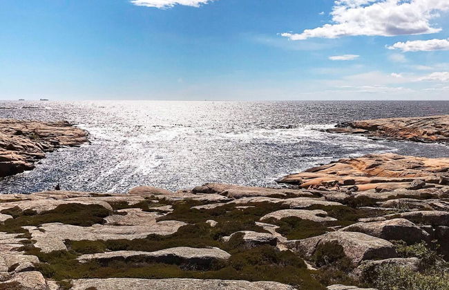 Serene Seaside Retreat in Vesteroy-by Traum - Foto 11