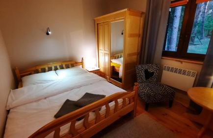 Między Sosnami - Foto 22