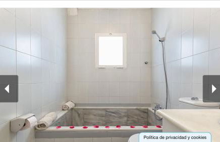 Balcón de Málaga - Foto 13